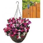Sweet Pea Sugar and Spice 2 Pre-Planted Rattan H/Baskets with Pulleys