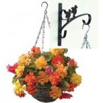 Begonia Gold Balcony 2 Pre-Planted Rattan Hanging Baskets And Wall Brackets