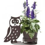 1 Pre-Planted Owl Silhouette Pot with Salvia Seascape Plants