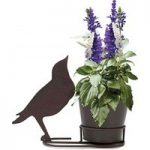 1 Pre-Planted Songbird Silhouette Pot with Salvia Seascape Plants