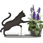 Pre-Planted Kitten Silhouette Pot with Salvia Seascape