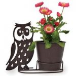 Owl Silhouette Pot Pre Planted with Bellis Belle