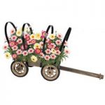 Ornamental Cart Planting Kit with 6 Argyranthemums Plus FREE Compost