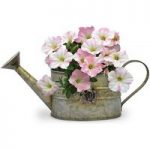 Roses Watering Can pre planted Petunia Pink Parfait