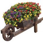Small Flat Pack Wheelbarrow 1 Planter + 6 Carnival Plants + Free 10l Compost