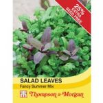 Salad Leaves ‘Fancy Summer Mix’