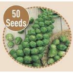 Brussel Sprout Agincourt 50 Seeds