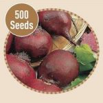 Beetroot Boltardy 500 Seeds