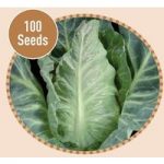 Cabbage Pyramid F1 100 Seeds