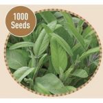 Sage 1000 Seeds