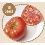 Heirloom Tomatoes Marmande 10 Seeds