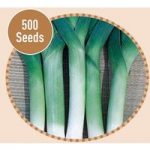 Leek Tornado 500 Seeds