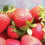 Strawberries Cambridge Favourite 20 Runners plus 4 Planters