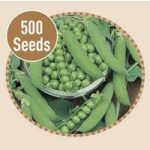 Peas Ambassador 500 Seeds