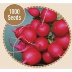 Radish Cherry Belle 1000 Seeds