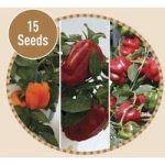 Sweet Pepper F1 15 Seeds