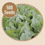 Spinach Fuji 500 Seeds