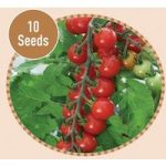 Tomato Sweet Aperitif 10 Seeds