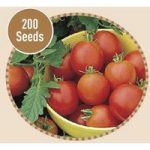 Tomato Moneymaker 200 Seeds
