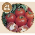 Tomato Alicante 200 Seeds