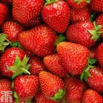 Strawberry ‘Elsanta’