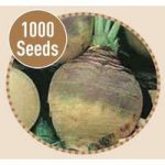Swede Best of All 1000 Seeds