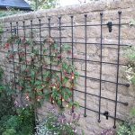 Harrod Decorative Wall Trellis Panels – Straight Trellis