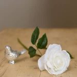 White Rose Stem By Sia