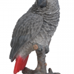 Vivid Arts Real Life African Grey Parrot – Size D
