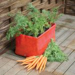 Carrot Patio Planter x 2