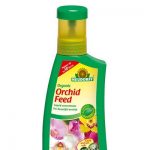 Neudorff Organic Orchid Feed – 250 ml