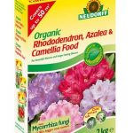 Neudorff Organic Rhododendron, Camellia, Azalea Food with Mycorrhiza (ERICACEOUS) + Mycorrhiza – 2 kg BOX