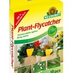 Neudorff Plant Flycatchers – 10 pc.