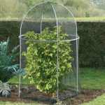 Domed Roof Fruit Cage