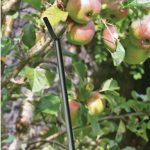 Fruit Branch Support – Matt Black