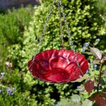 Chapelwood Hanging Glass Feeder Rose