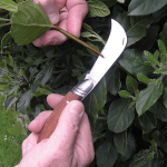 Pruning Knife