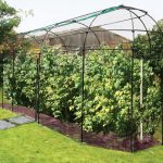 Long Narrow Fruit Cage with Zip Net – Matt Black