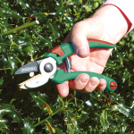 Anvil Secateurs with Wipe Oil