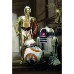 Star Wars Droids Maxi Poster