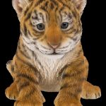 Vivid Arts Pet Pals Tiger Cub – Size F