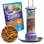 Peckish Mealworms 1kg And Mealworm Feeder
