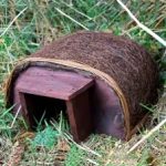 Hedgehog House Haus Shelter