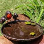 Red Robin Bird Bath