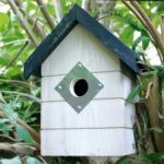 Woodland Nest Box