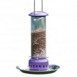 Mealworm Feeder Plus Seed Tray