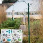 Fabulous Wild Bird Food Feeding Station Kit