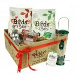 Birds & Bees Wild Bird Food Goody Box