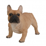 Vivid Arts Real Life French Golden Bulldog – Size A