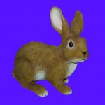 Vivid Arts Real Life Large Rabbit – Size B